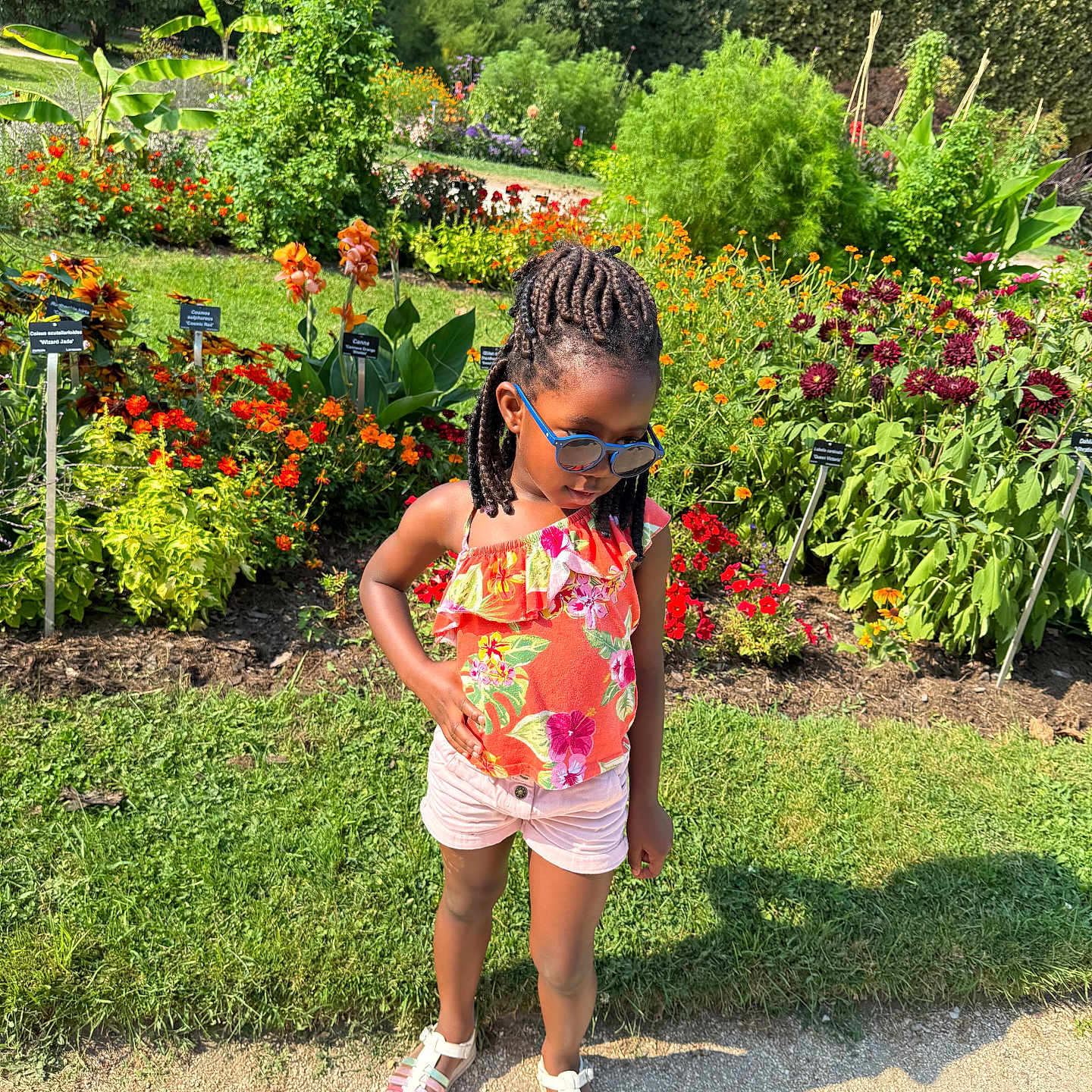 Anaya participe au concours pour gagner de l'argent avec cette photo : braided_hair, casual, child, colorful, confident, daytime, flower_garden, flowers, girl, greenery, nature, outdoor, plants, portrait, sandals, shorts, standing, summer_clothing, sunglasses, sunlight