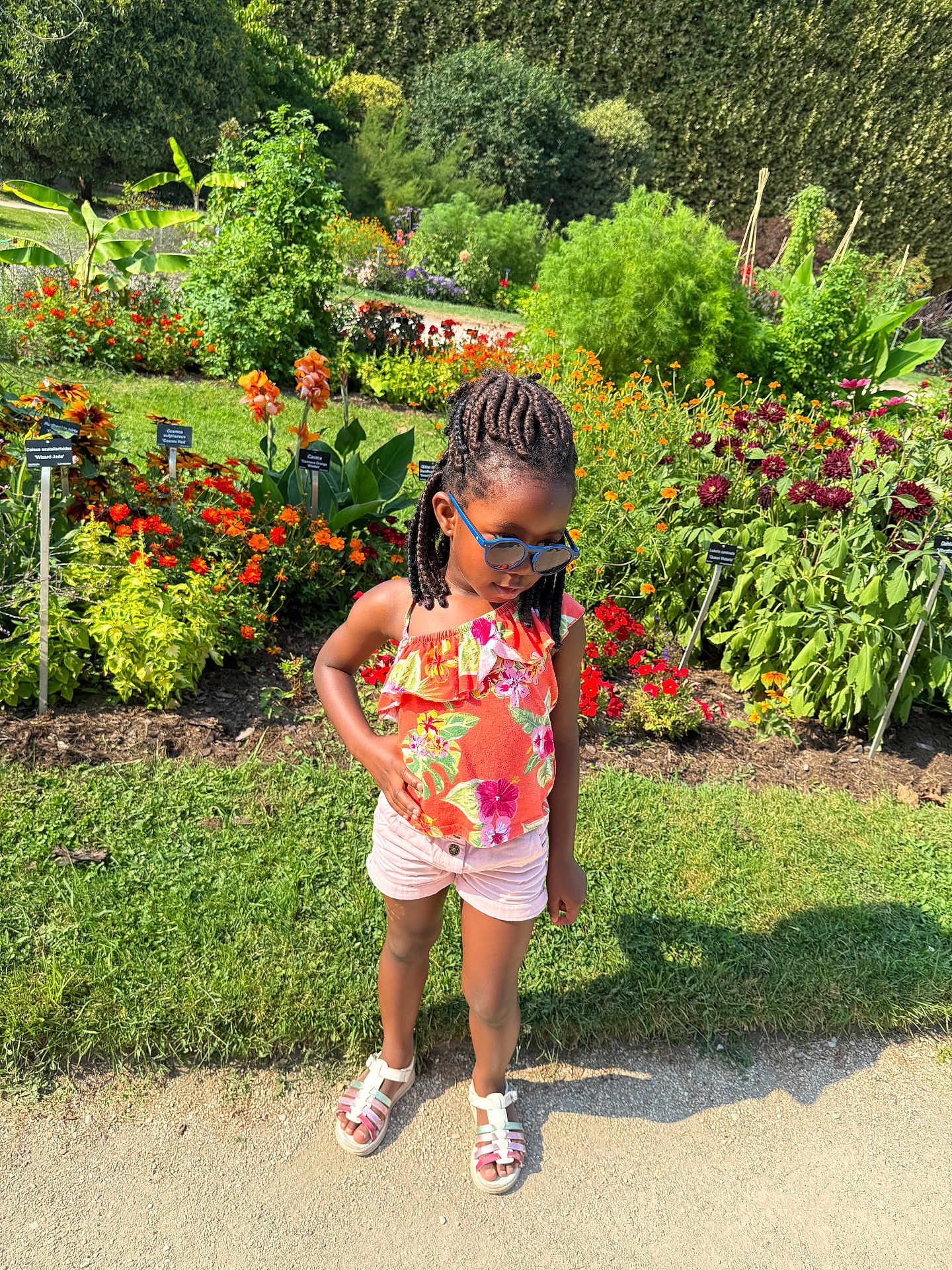 Anaya participe au concours pour gagner de l'argent avec cette photo : child, girl, braided_hair, sunglasses, flower_garden, greenery, summer_clothing, shorts, sandals, outdoor, sunlight, plants, flowers, nature, portrait, standing, confident, colorful, daytime, casual