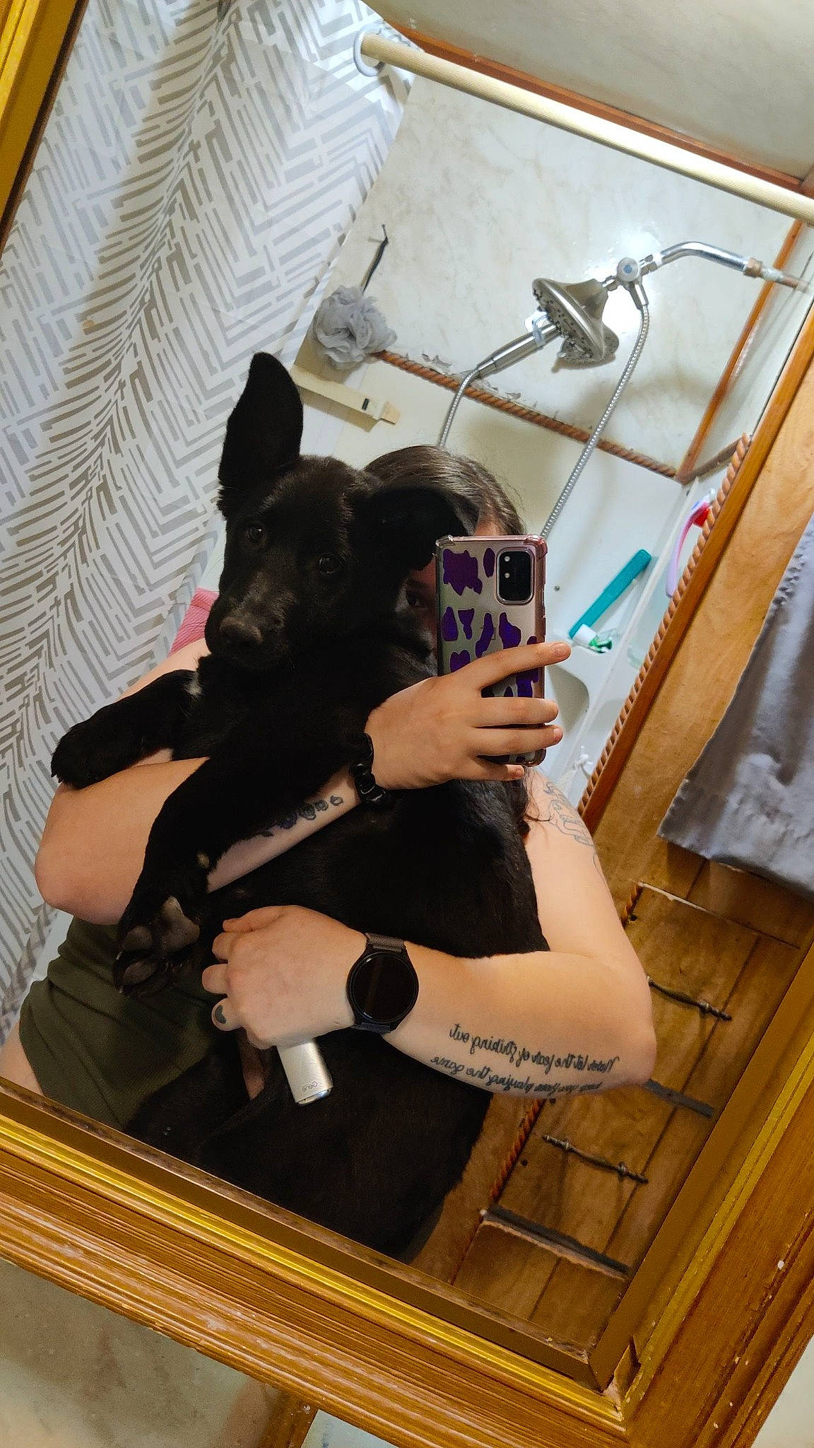 Zuma joined the competition — help win amazing prizes! carnivore, comfort, companion_dog, dog_breed, eyewear, fashion_accessory, fawn, fun, fur, headgear, human_leg, mammal, personal_protective_equipment, picture_frame, selfie, sitting, stairs, thigh, vertebrate, wood