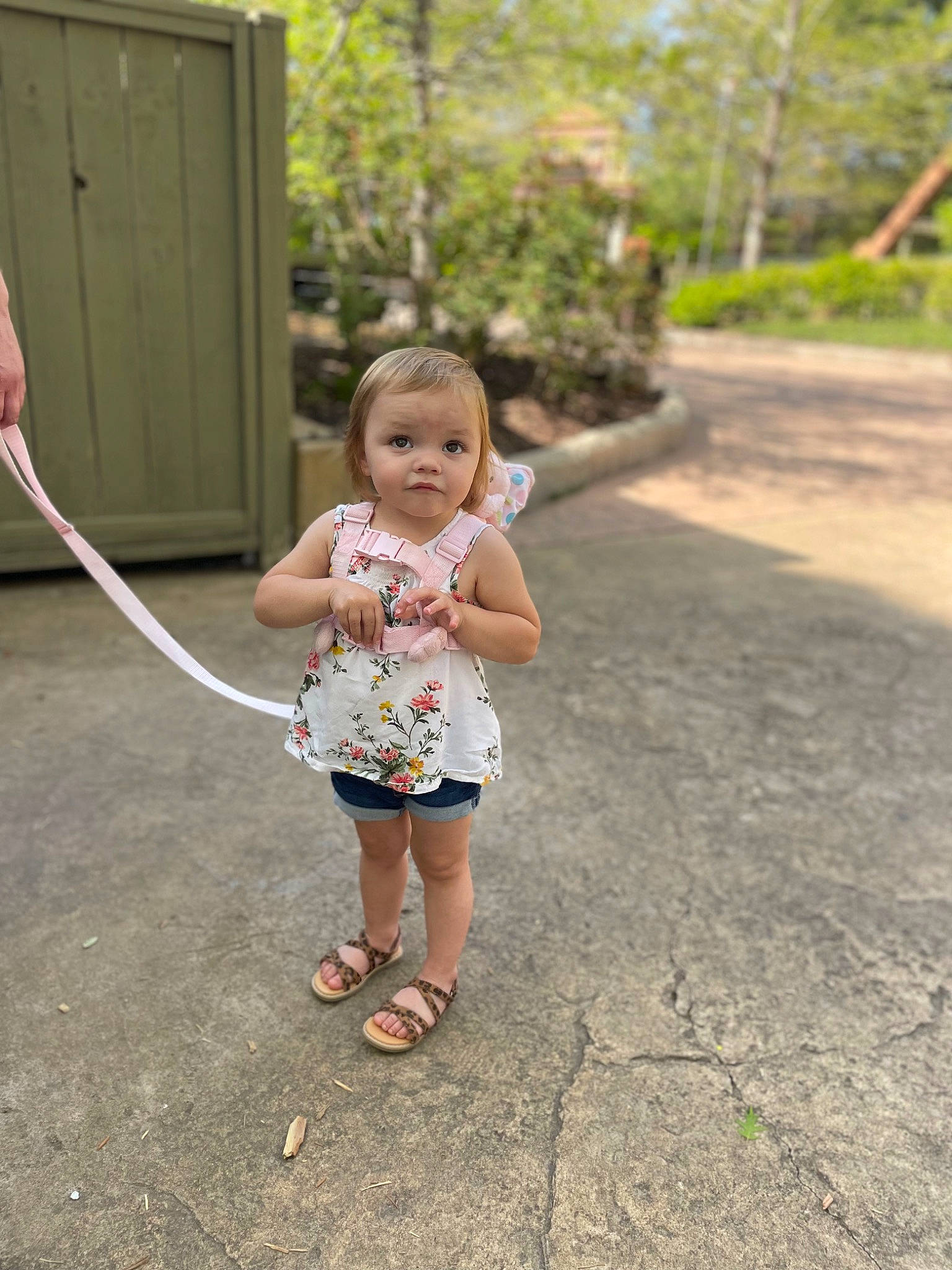 Kingsley joined the competition — help win amazing prizes! asphalt, blond, child, dress, foot, footwear, fun, grass, hairstyle, happy, leaf, leisure, people_in_nature, person, plant, public_space, recreation, road_surface, sandal, toddler