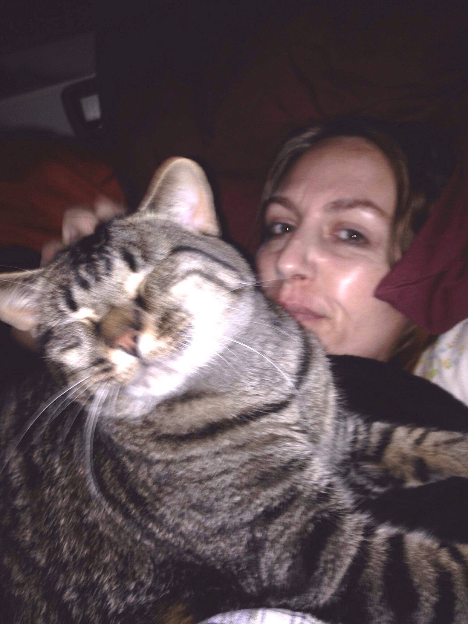 Little Bear joined the competition — help win amazing prizes! carnivore, cat, comfort, darkness, domestic_short_haired_cat, event, eye, felidae, flash_photography, fur, gesture, grey, night, sitting, small_to_medium_sized_cats, snout, whiskers