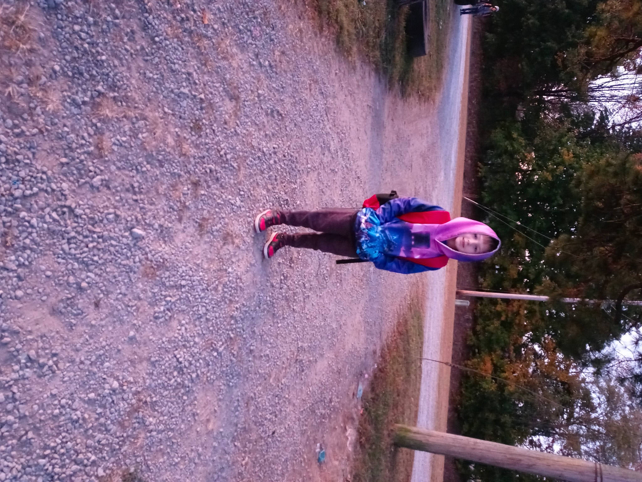 Karson is registered to the contest to win money with this photo: adventure, climbing_harness, concrete, electric_blue, extreme_sport, fun, landscape, leisure, magenta, outdoor_play_equipment, person, plant, recreation, rock_climbing_equipment, rope, slope, soil, sport_climbing, toddler, tree