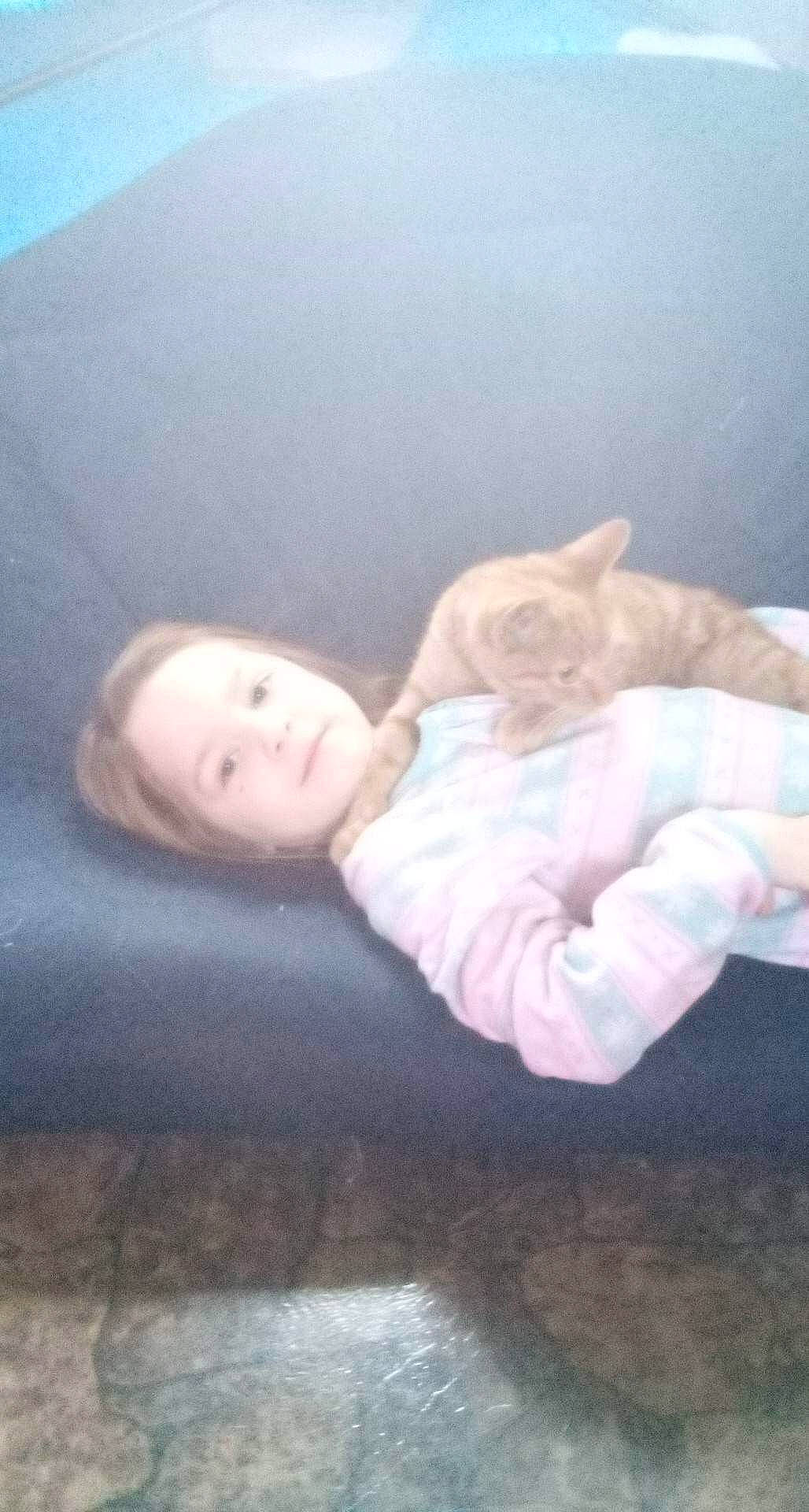 Giavanna is registered to the contest to win money with this photo: art, beauty, cat, child, cloud, comfort, felidae, flooring, fur, linens, mammal, nose, person, room, skin, small_to_medium_sized_cats, textile, tints_and_shades, toddler, whiskers