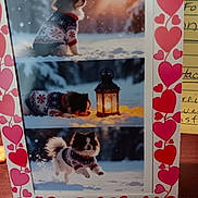 Bourbon joined the competition — help win amazing prizes! dog, snow, winter, sweater, lantern, outdoor, pet, playing, sunset, cute, collage, frame, hearts, animal, fur, holiday, festive, nature, joyful, leaping