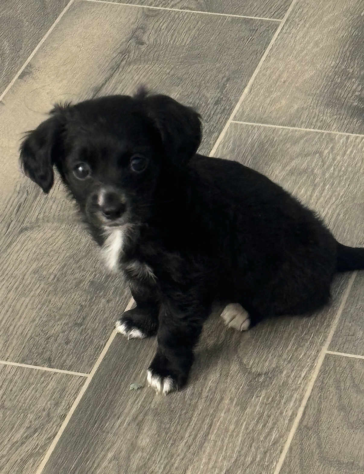 Luna