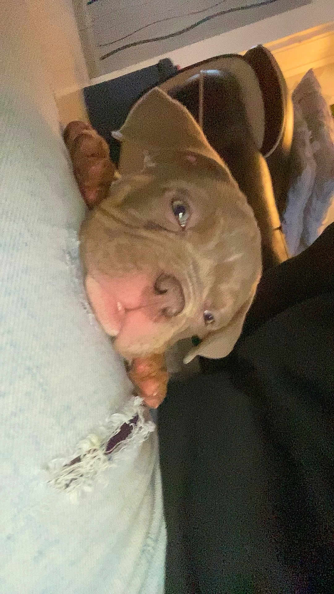 Athena
