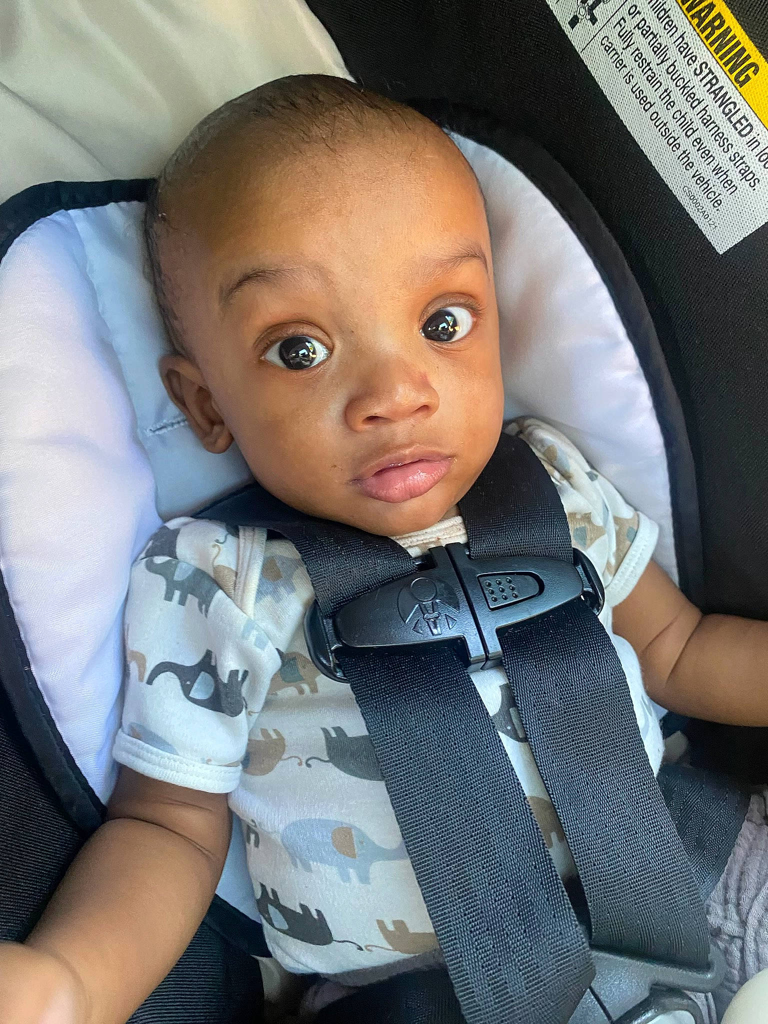 King is registered to the contest to win money with this photo: baby, baby_carriage, baby_products, baby_toddler_clothing, car_seat, cheek, child, comfort, eyelash, flash_photography, iris, lip, mouth, nose, person, product, seat_belt, sitting, skin, sleeve