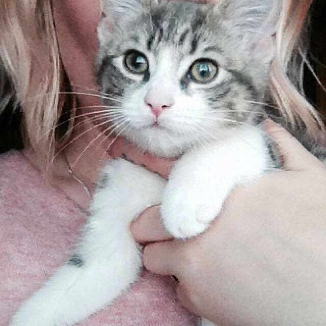Nala