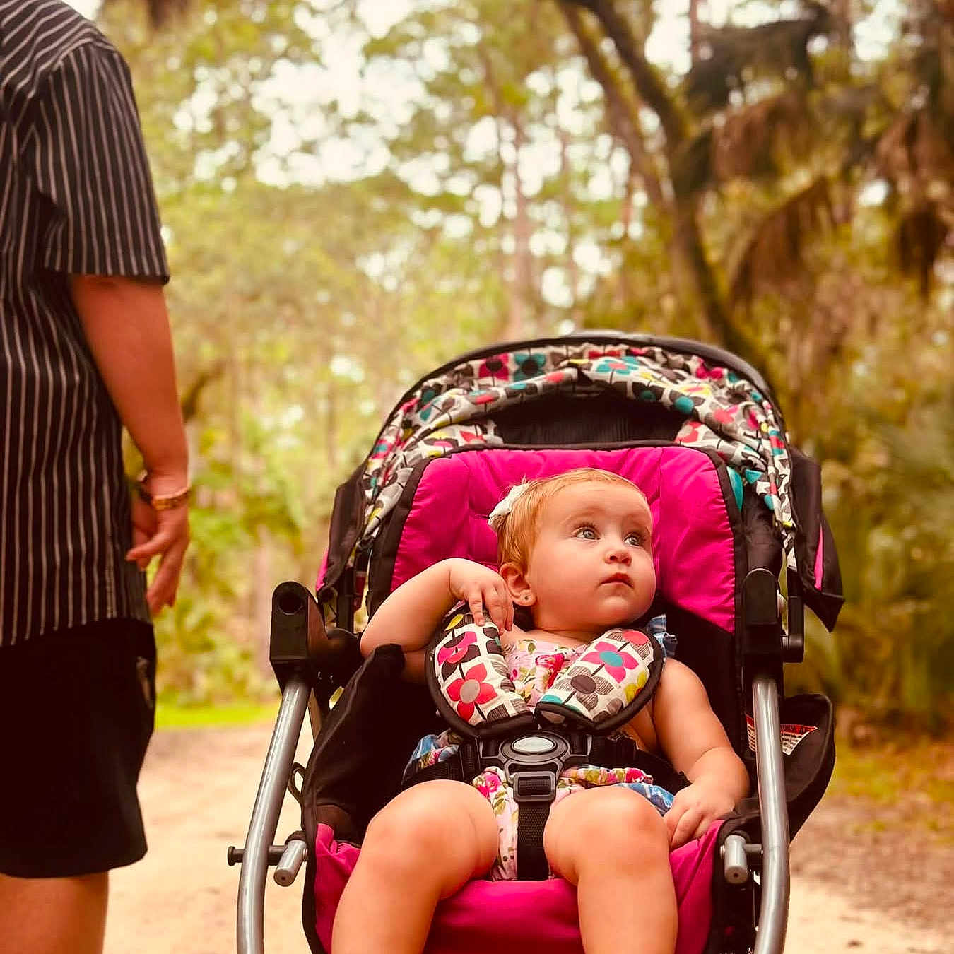 Meadow is registered to the contest to win money with this photo: baby, child, infant, stroller, outdoor, park, woodland, forest, adult, walking, portrait, sitting, curious, blonde_hair, pink_stroller, colorful_pattern, harness, path, trees, daylight