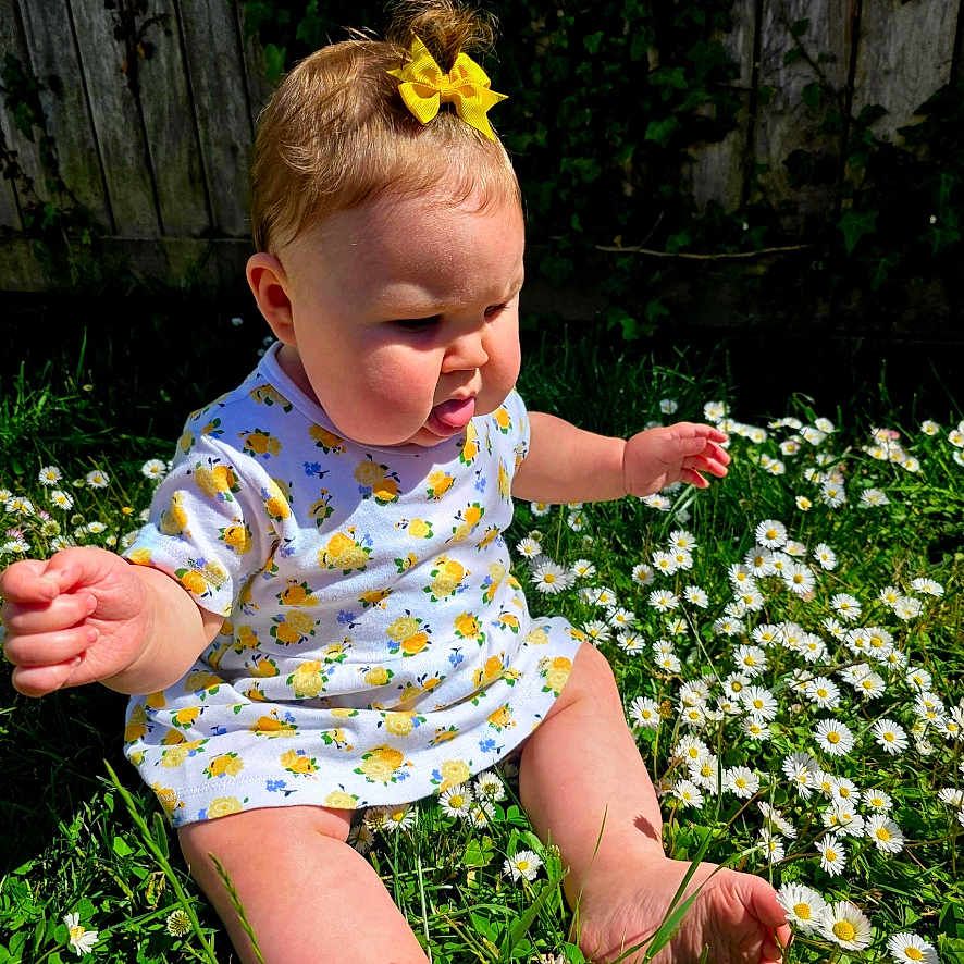 Amealia joined the competition — help win amazing prizes! baby, barefoot, child, cute, daisy, dress, exploring, flower, garden, grass, greenery, happy, infant, nature, outdoor, portrait, sitting, summer, sunlight, yellow_bow