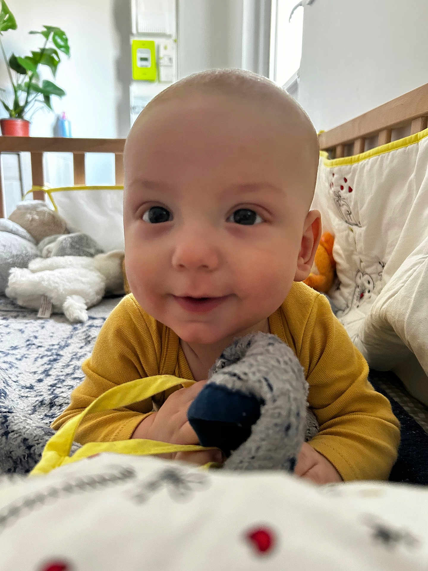 Elio participe au concours pour gagner de l'argent avec cette photo : baby, bed, bedroom, clothing, cushion, face, furniture, glove, happy, head, homedecor, indoors, person, photography, plant, portrait, quilt, room, sitting, smile