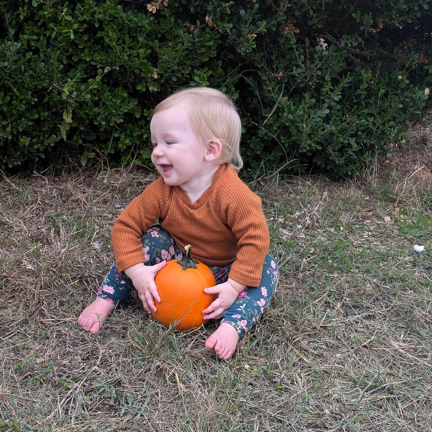 Aspen joined the competition — help win amazing prizes! baby, ball, face, food, football, grass, head, person, photography, plant, portrait, produce, pumpkin, sitting, soccer, soccerball, sport, squash, vegetable, vegetation