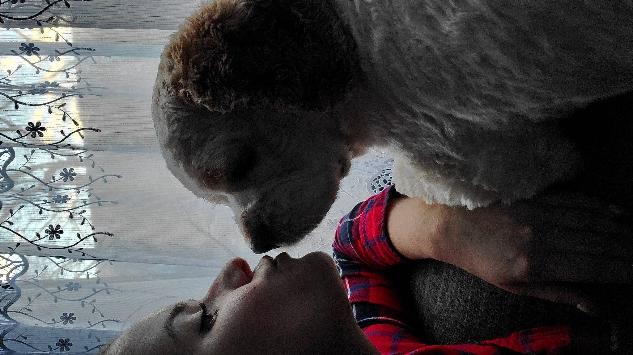 Lord is registered to the contest to win money with this photo: black_hair