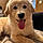 Maxie