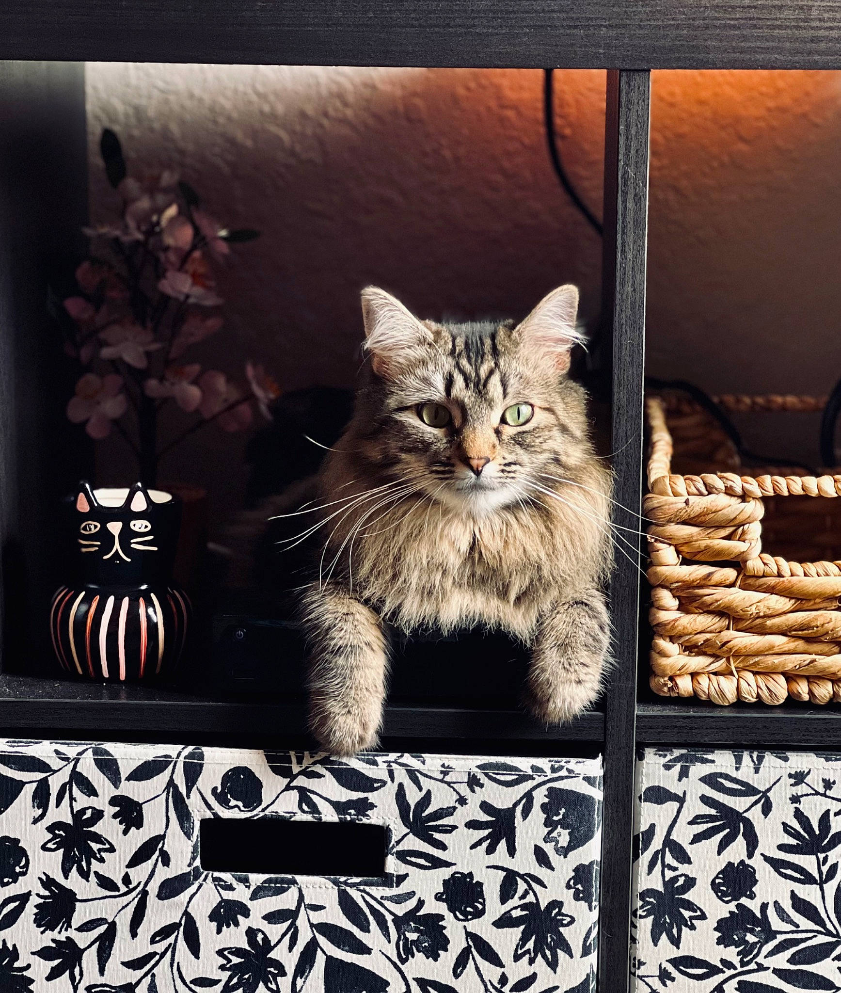 Sophie