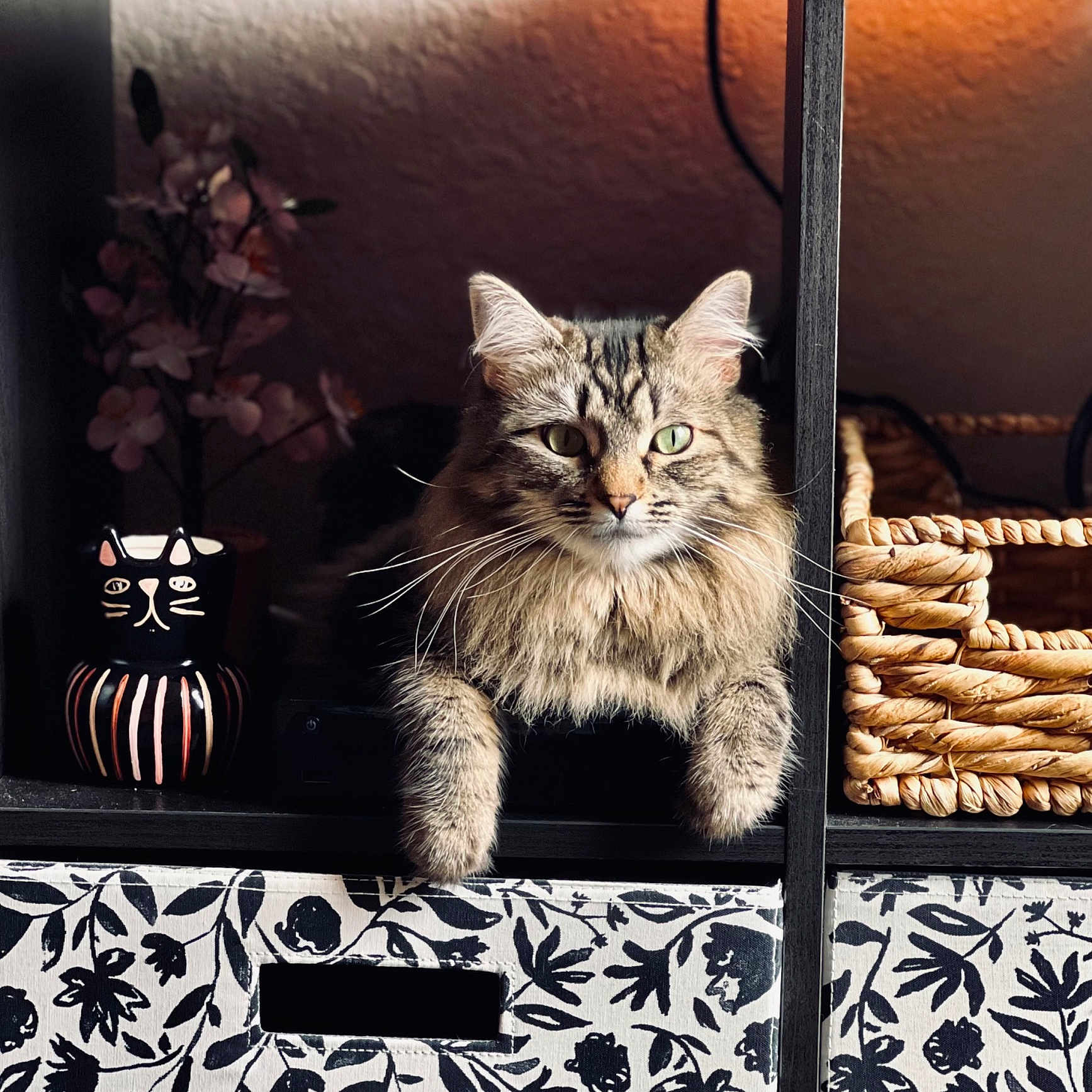 Sophie