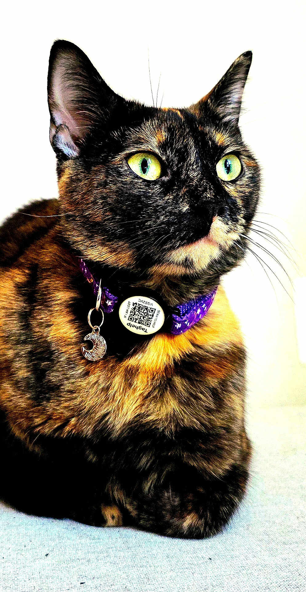 Penelope