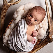 Gabriel participe au concours pour gagner de l'argent avec cette photo : newborn, baby, wrapped, blanket, basket, antlers, soft, cozy, curious, face, head, infant, portrait, indoors, skin, looking, small, child, cute, peaceful