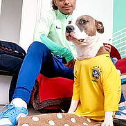 Pablo participe au concours pour gagner de l'argent avec cette photo : dog, person, indoor, sportswear, jersey, brazil, couch, rug, polka_dot, casual, footwear, sneakers, wall, door, relaxed, pet, companion, seated, home, friendly