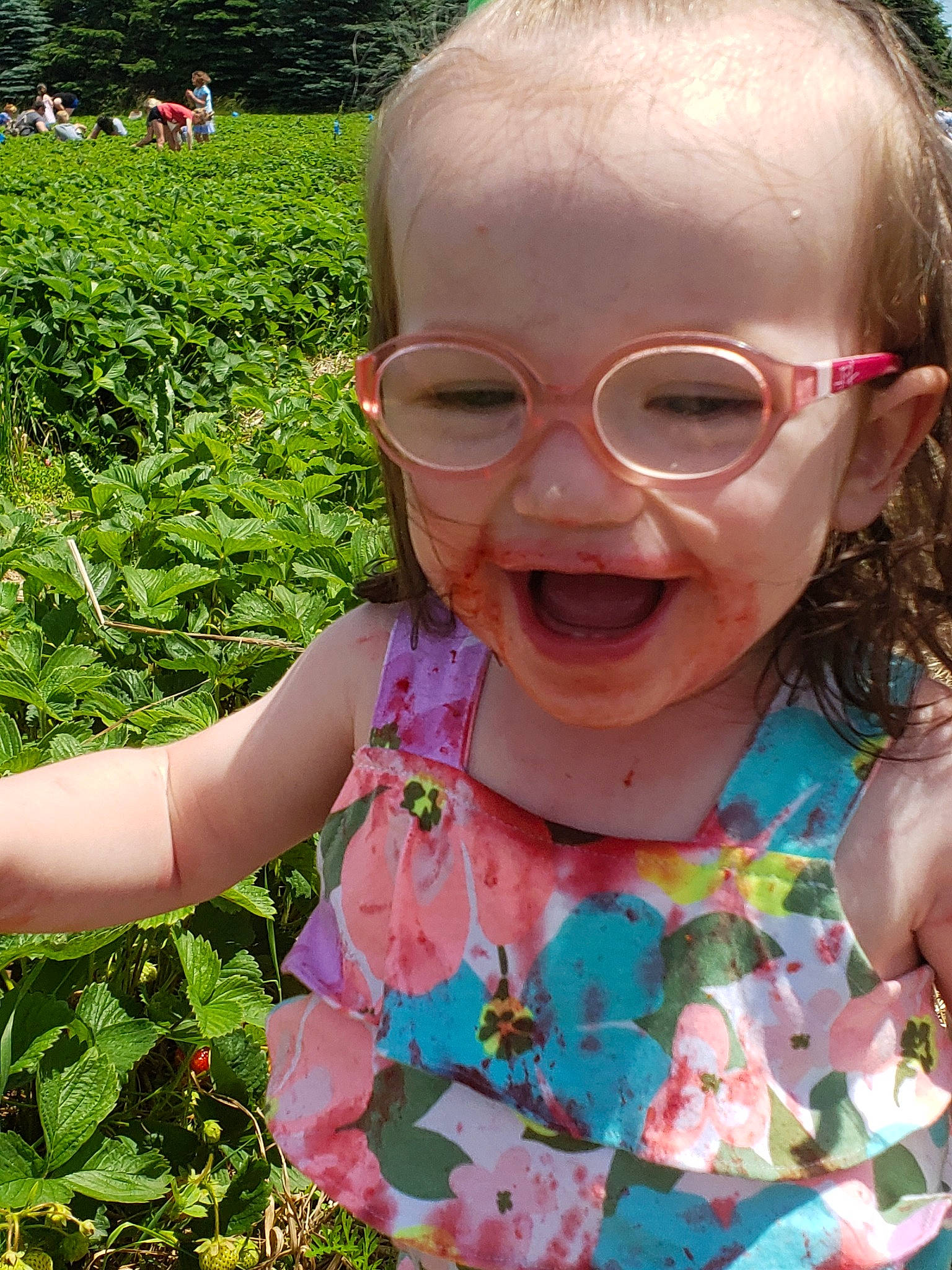 Dakota joined the competition — help win amazing prizes! cheek, child, eyewear, face, facial_expression, flower, fun, glasses, grass, happy, head, leaf, lip, mouth, nose, person, plant, skin, smile, summer