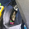 animal, backpack, bottle, cat, closeup, colorful, curious, ears, eyes, face, fur, green_eyes, indoor, kitten, pet, tabby, toy, travel_bag, whiskers, zipper