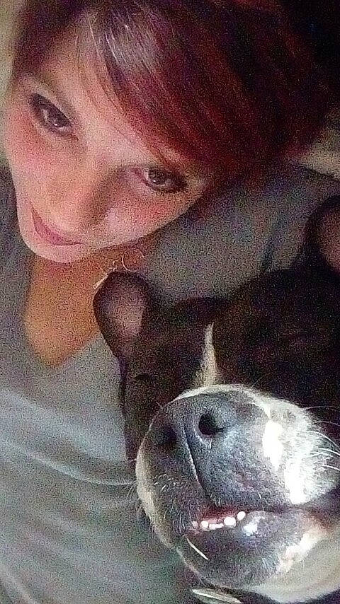 Roky participe au concours pour gagner de l'argent avec cette photo : australian_bulldog, boston_terrier, boxer, canidae, carnivore, companion_dog, dog, dog_breed, fawn, french_bulldog, mammal, non_sporting_group, nose, olde_english_bulldogge, puppy, puppy_love, selfie, snout, valley_bulldog, whiskers