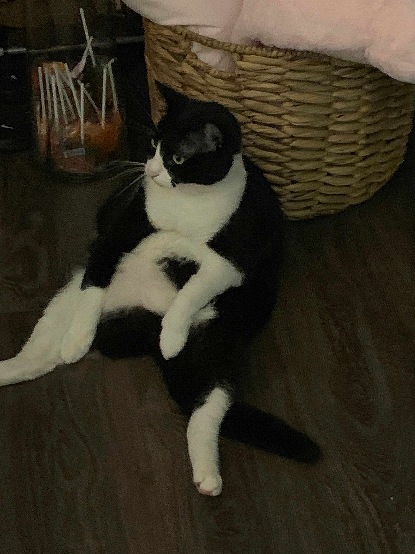 Batman is registered to the contest to win money with this photo: cat, black_and_white, sitting, floor, wooden_floor, basket, blanket, indoor, pet, relaxed, feline, animal, whiskers, tail, domestic_cat, cozy, home, cute, fur, resting
