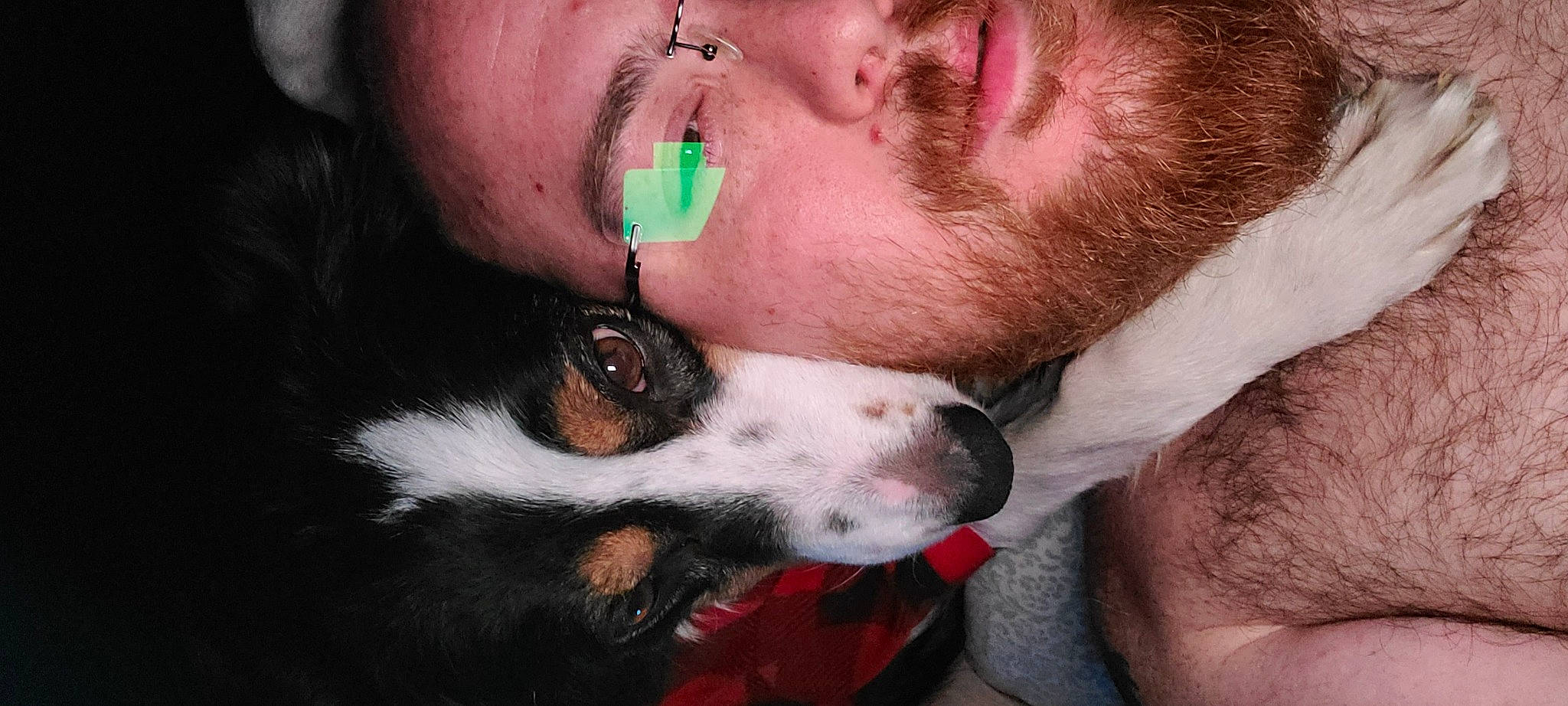 Hannah joined the competition — help win amazing prizes! beard, carnivore, companion_dog, dog, dog_breed, ear, eyebrow, eyelash, eyewear, facial_hair, gesture, jaw, mouth, neck, nose, organ, selfie, snout, throat, whiskers