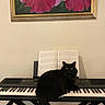 Coco joined the competition — help win amazing prizes! cat, black_cat, fluffy, long_hair, animal, pet, keyboard, piano, musical_instrument, sheet_music, music, indoors, portrait, sitting, staring, yellow_eyes, tail, home, wall_art, floral_painting