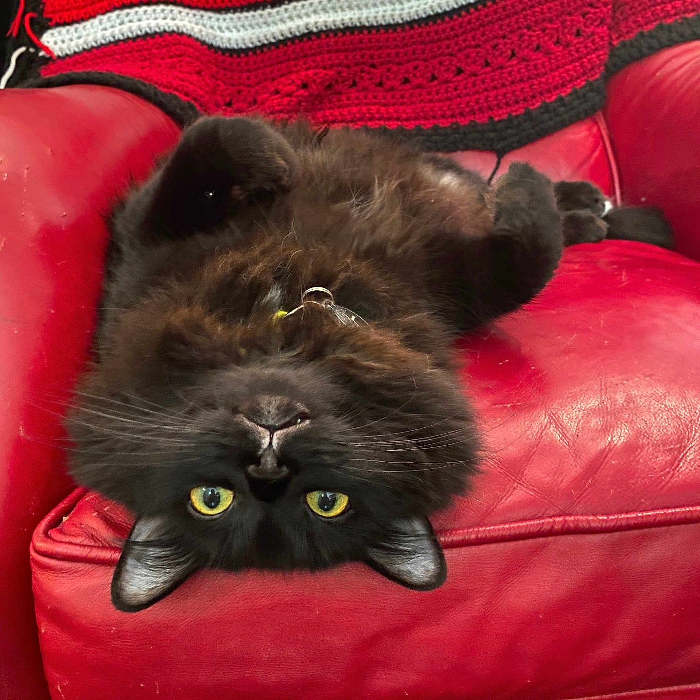 Coco