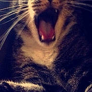 Jimmy is registered to the contest to win money with this photo: