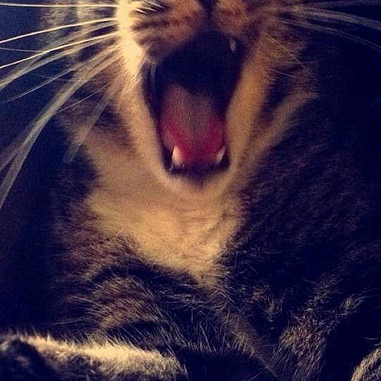 Jimmy