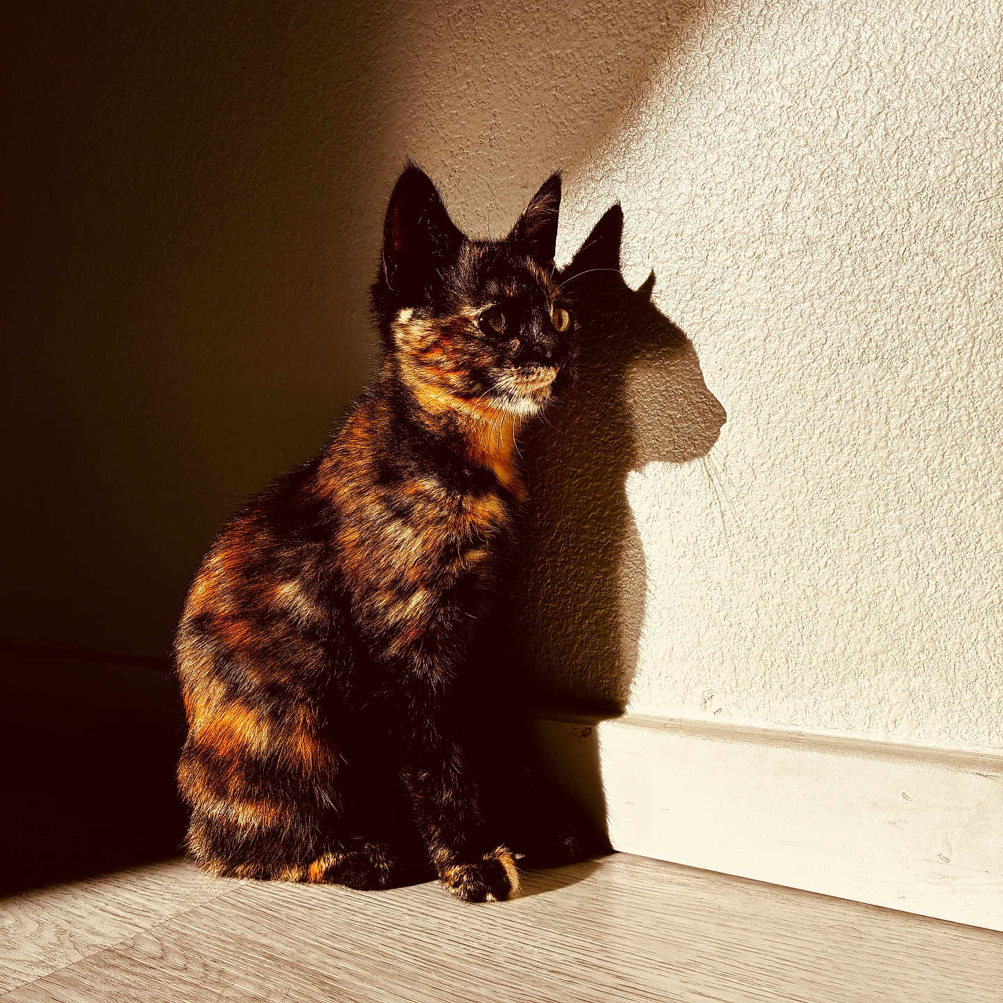 Tallulah