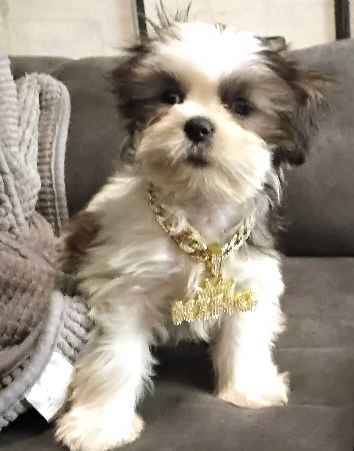 King