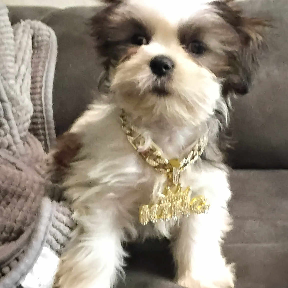 King