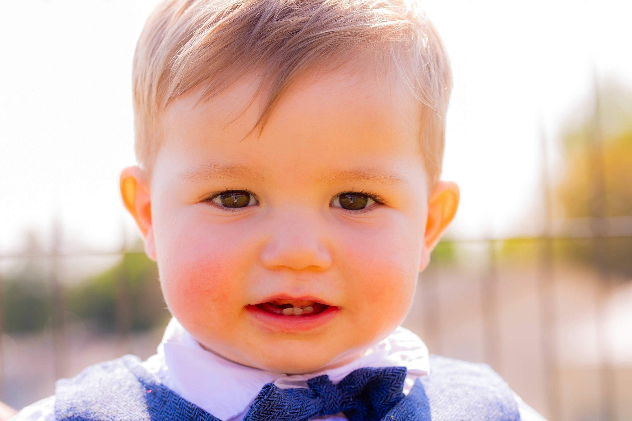 Charli participe au concours pour gagner de l'argent avec cette photo : bow_tie, cheek, chin, collar, dress, dress_shirt, eye, eyebrow, eyelash, flash_photography, hair, happy, human_body, iris, lip, nose, outerwear, person, plant, skin