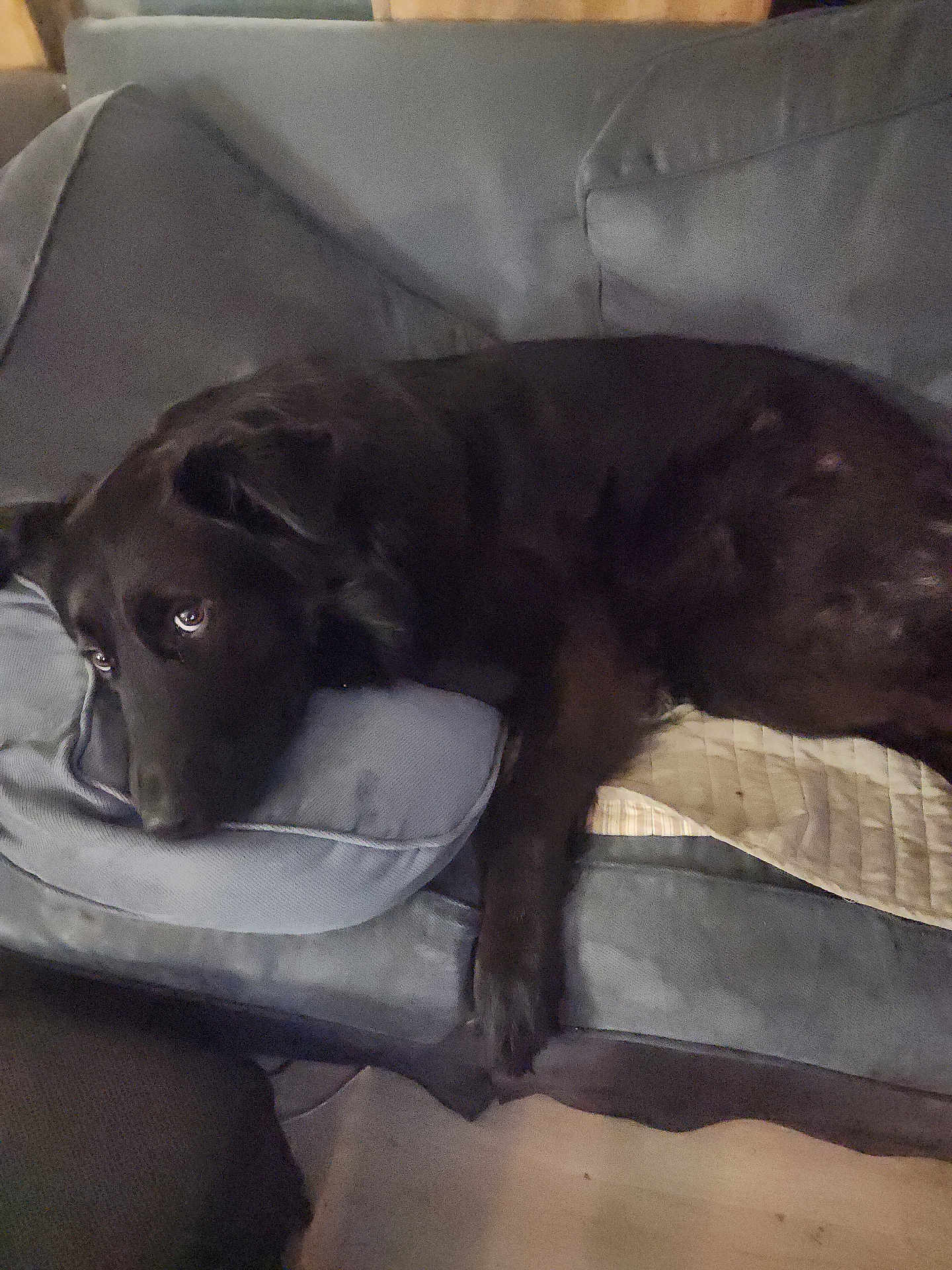 Oscar