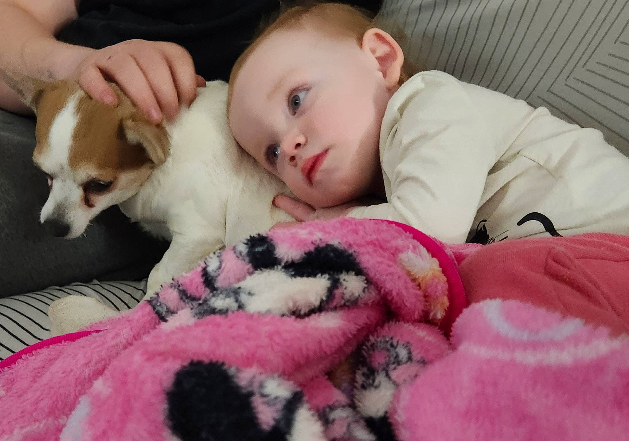 Jaelynn is registered to the contest to win money with this photo: baby, baby_toddler_clothing, carnivore, child, comfort, companion_dog, corgi_chihuahua, couch, dog, dog_breed, eye, fawn, fur, happy, linens, pattern, person, pink, sitting, toddler