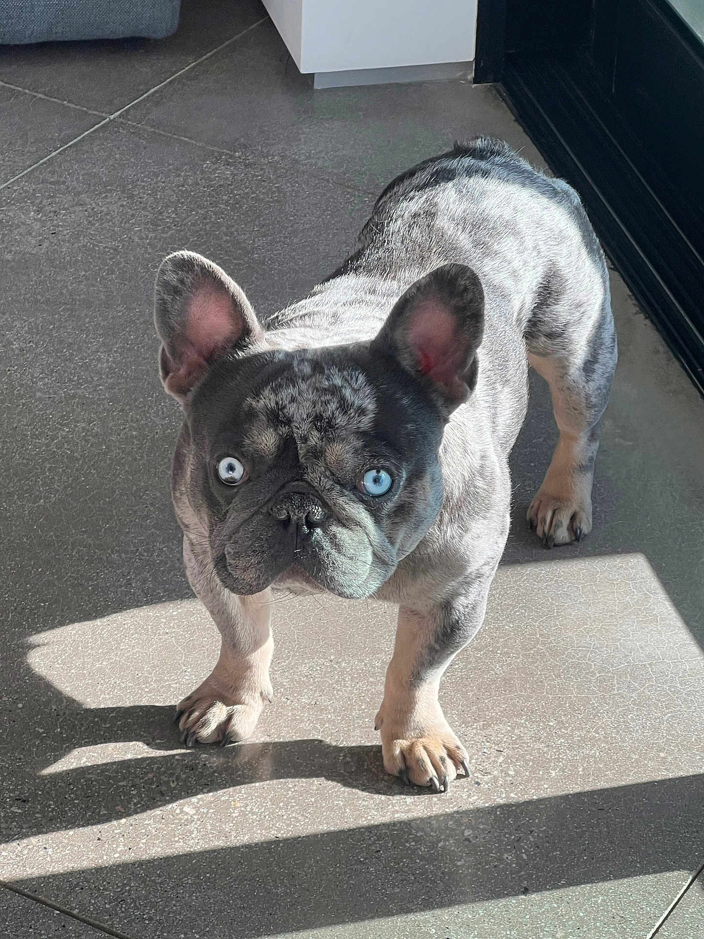 Diesel