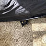 black_cat, cat, pet, animal, yellow_eyes, whiskers, pointed_ears, peeking, under_furniture, upside_down, carpet, floor, indoor, home, furniture, shadow, closeup, funny, curious, portrait