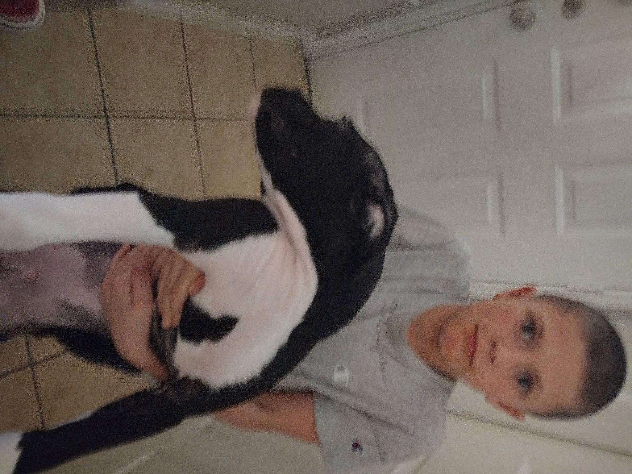 Tatum joined the competition — help win amazing prizes! canidae, carnivore, comfort, companion_dog, dog, dog_breed, door, elbow, fawn, felidae, flooring, fur, gesture, knee, light_switch, person, room, sporting_group, tail, wall_plate