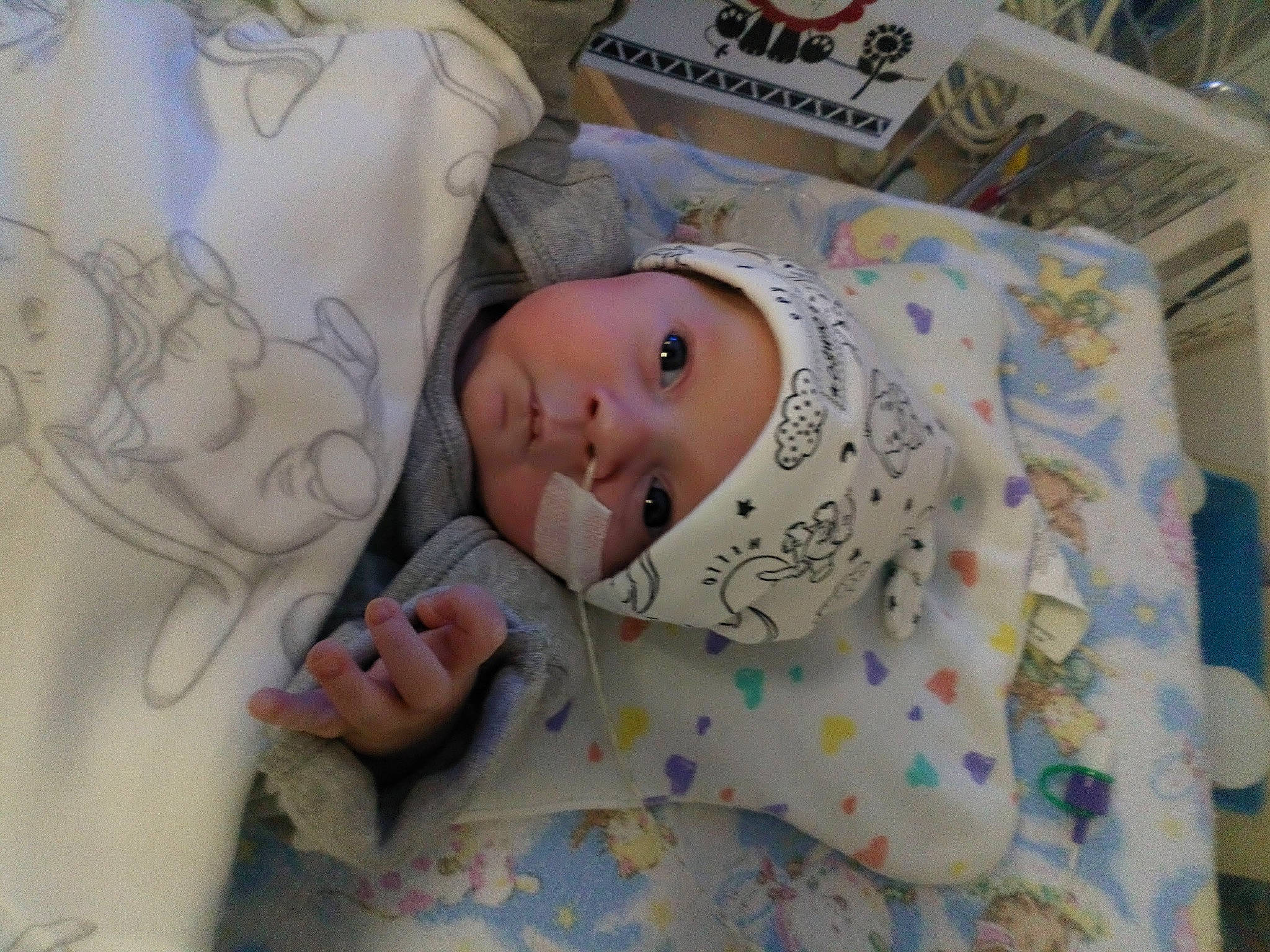 Leonidas joined the competition — help win amazing prizes! baby, baby_products, baby_safety, baby_toddler_clothing, bed, bed_sheet, bedding, bedtime, blanket, child, comfort, hat, headwear, linens, mammal, nap, pattern, person, room, sleeve