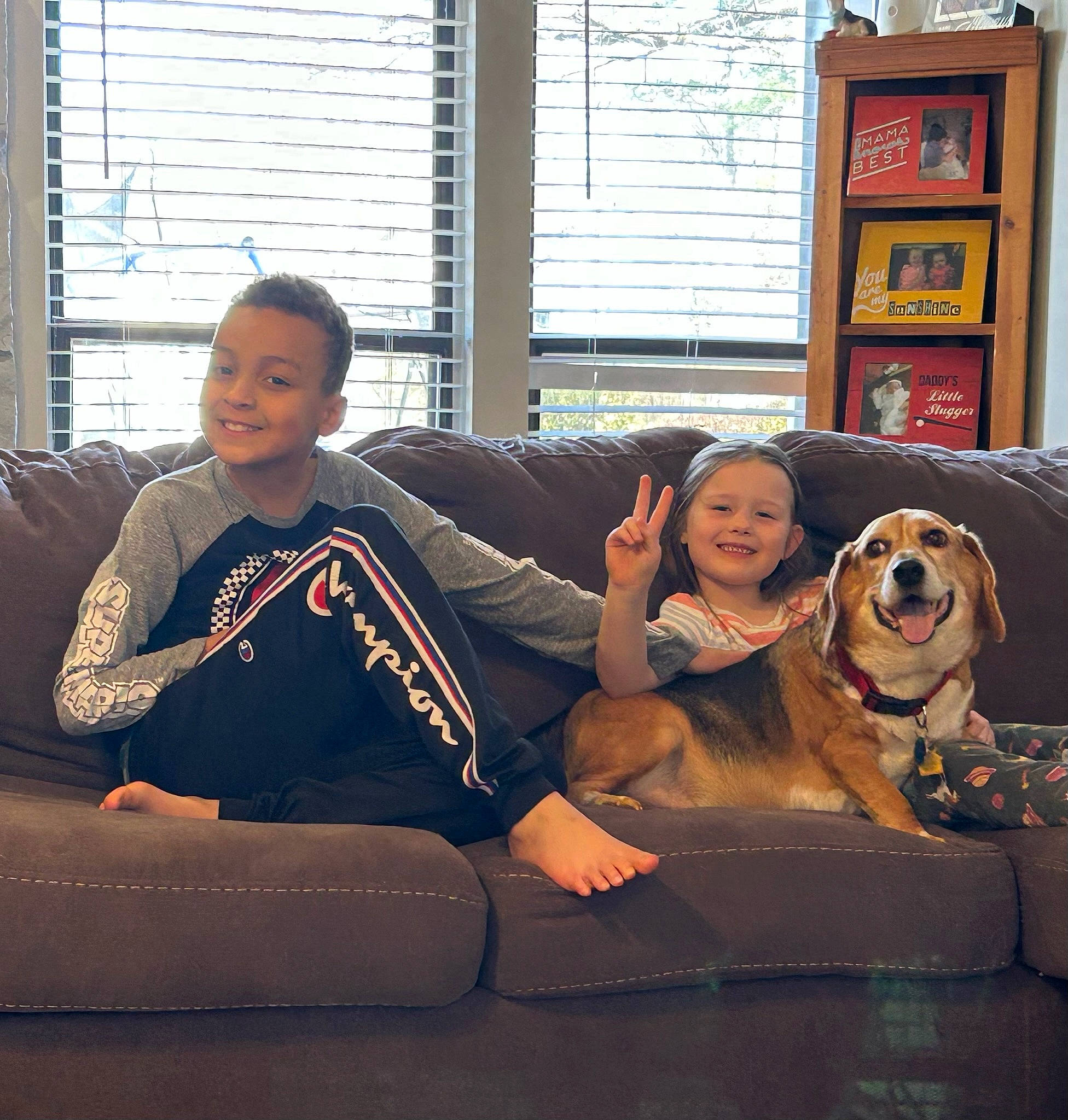 Julius joined the competition — help win amazing prizes! carnivore, comfort, companion_dog, cool, couch, dog, dog_breed, fawn, fun, happy, interaction, joy, lap, leisure, living_room, mammal, person, sitting, smile, t_shirt