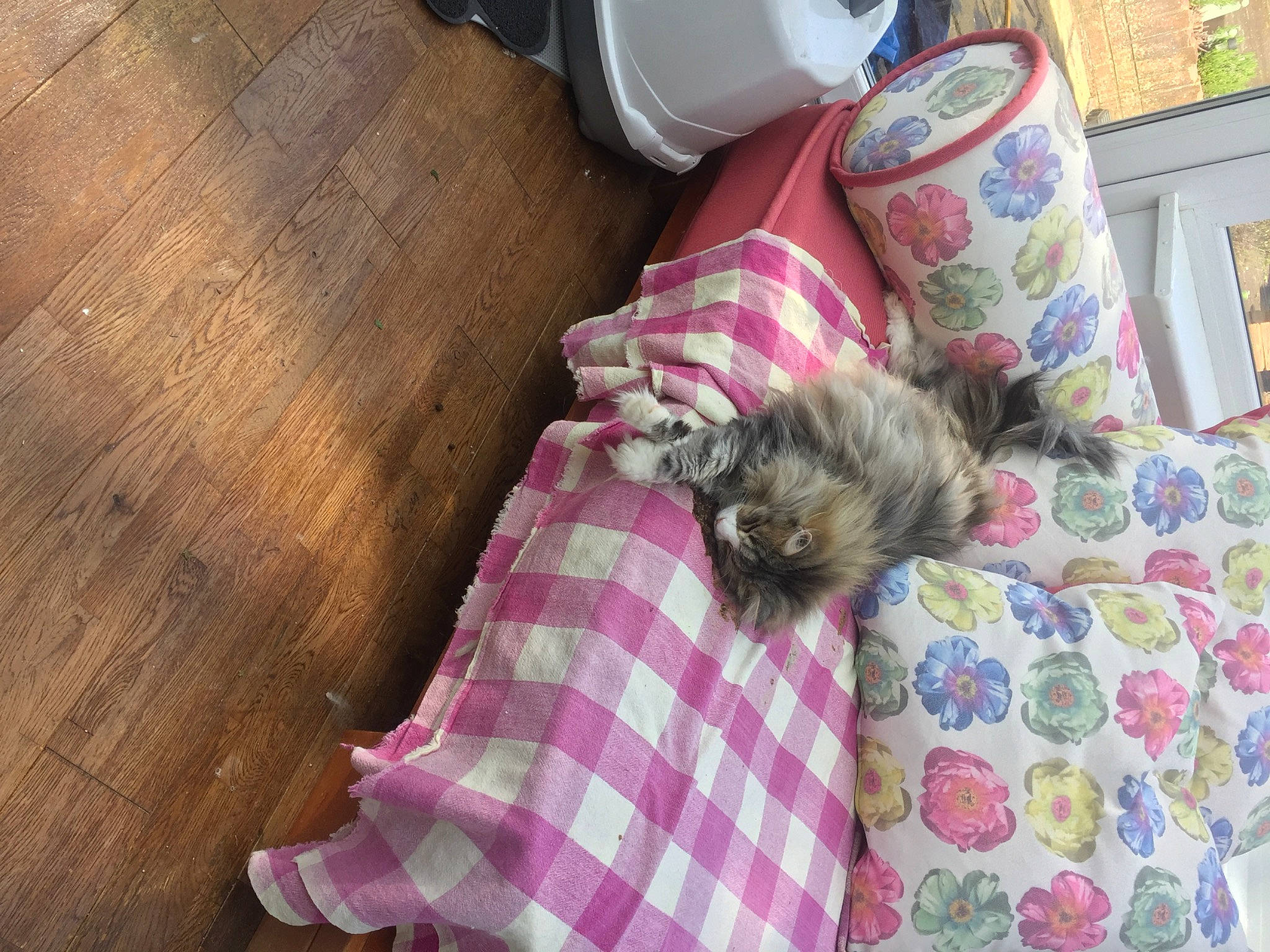 Flippertygibbert joined the competition — help win amazing prizes! bedding, carnivore, comfort, companion_dog, couch, cup, dog, dog_breed, dog_supply, fawn, felidae, flooring, fur, hardwood, linens, living_room, room, throw_pillow, toy_dog, wood