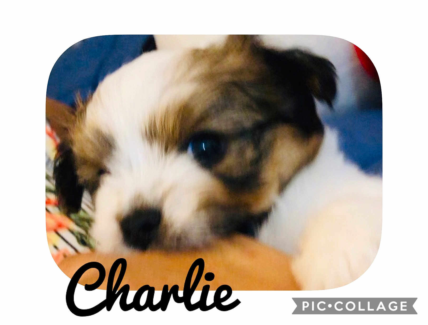 Charlie