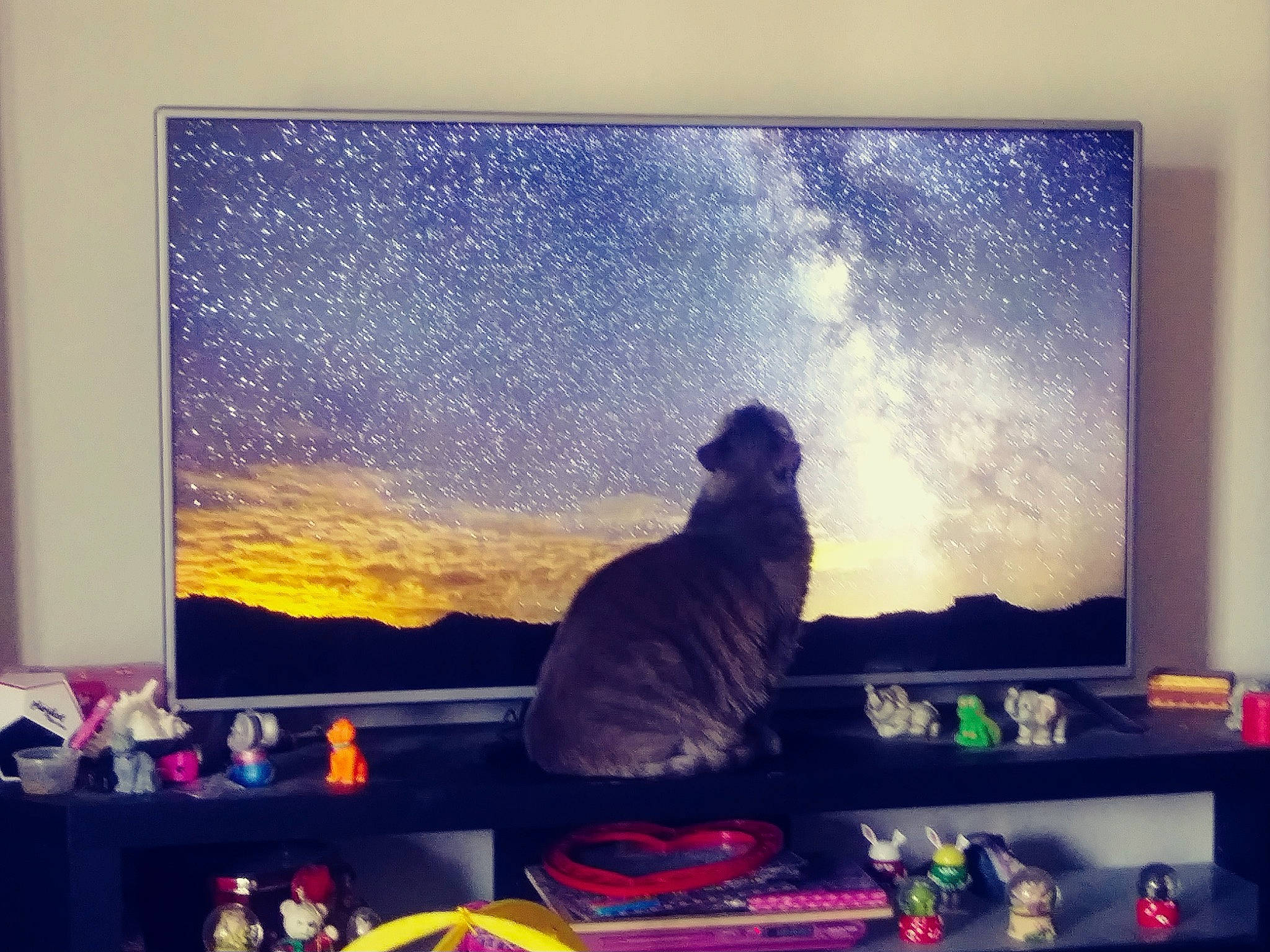 Sampson is registered to the contest to win money with this photo: art, cloud, display_device, electric_blue, glass, horizon, magenta, music_venue, paint, painting, purple, rectangle, room, sky, square, sunrise, sunset, textile, tints_and_shades, visual_arts