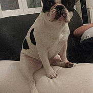 Tina participe au concours pour gagner de l'argent avec cette photo :