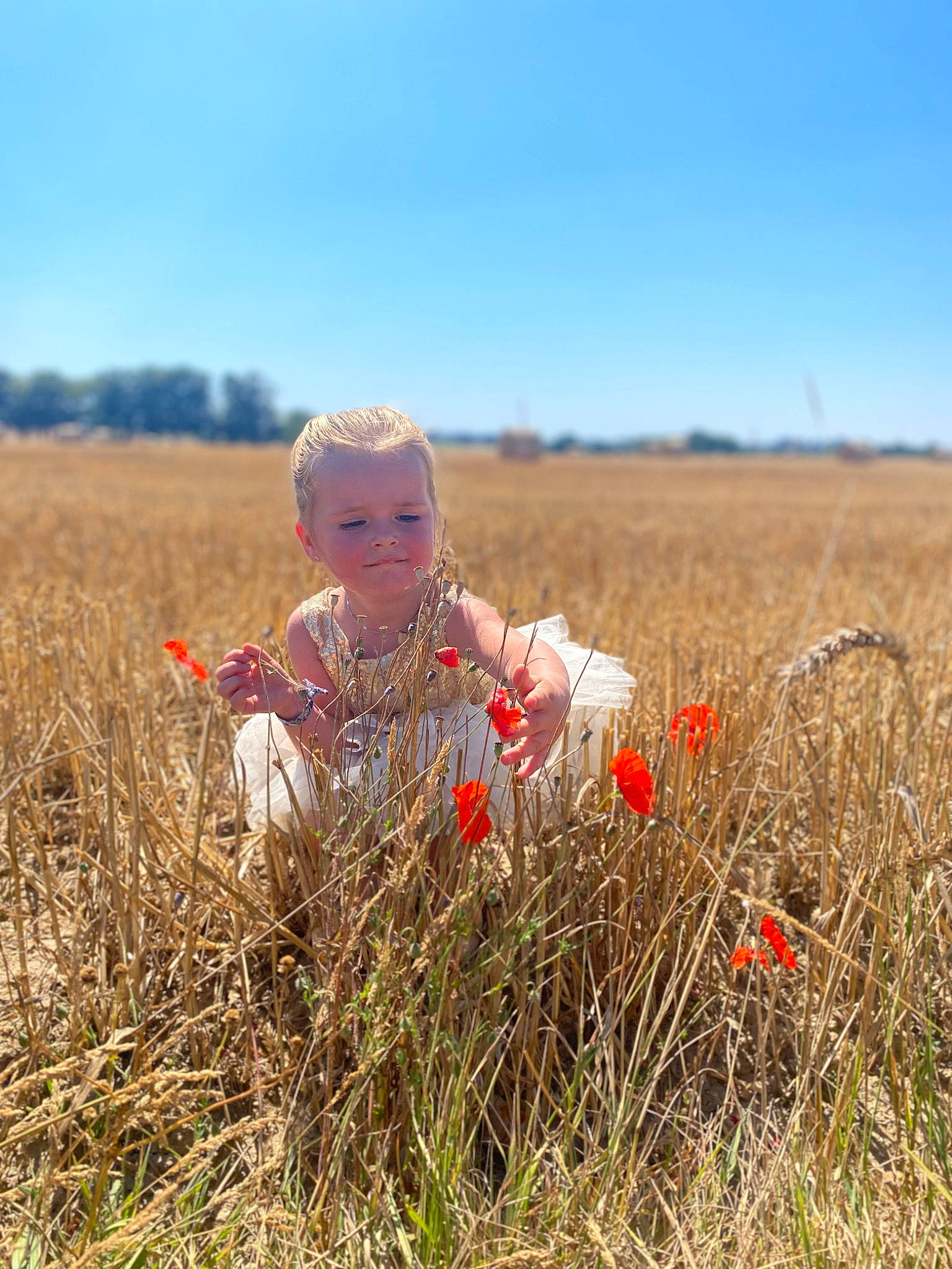 Thylane participe au concours pour gagner de l'argent avec cette photo : agriculture, field, flower, flowering_plant, grass, grass_family, grassland, happy, landscape, meadow, natural_landscape, people_in_nature, person, plain, plant, prairie, sitting, sky, soil, steppe