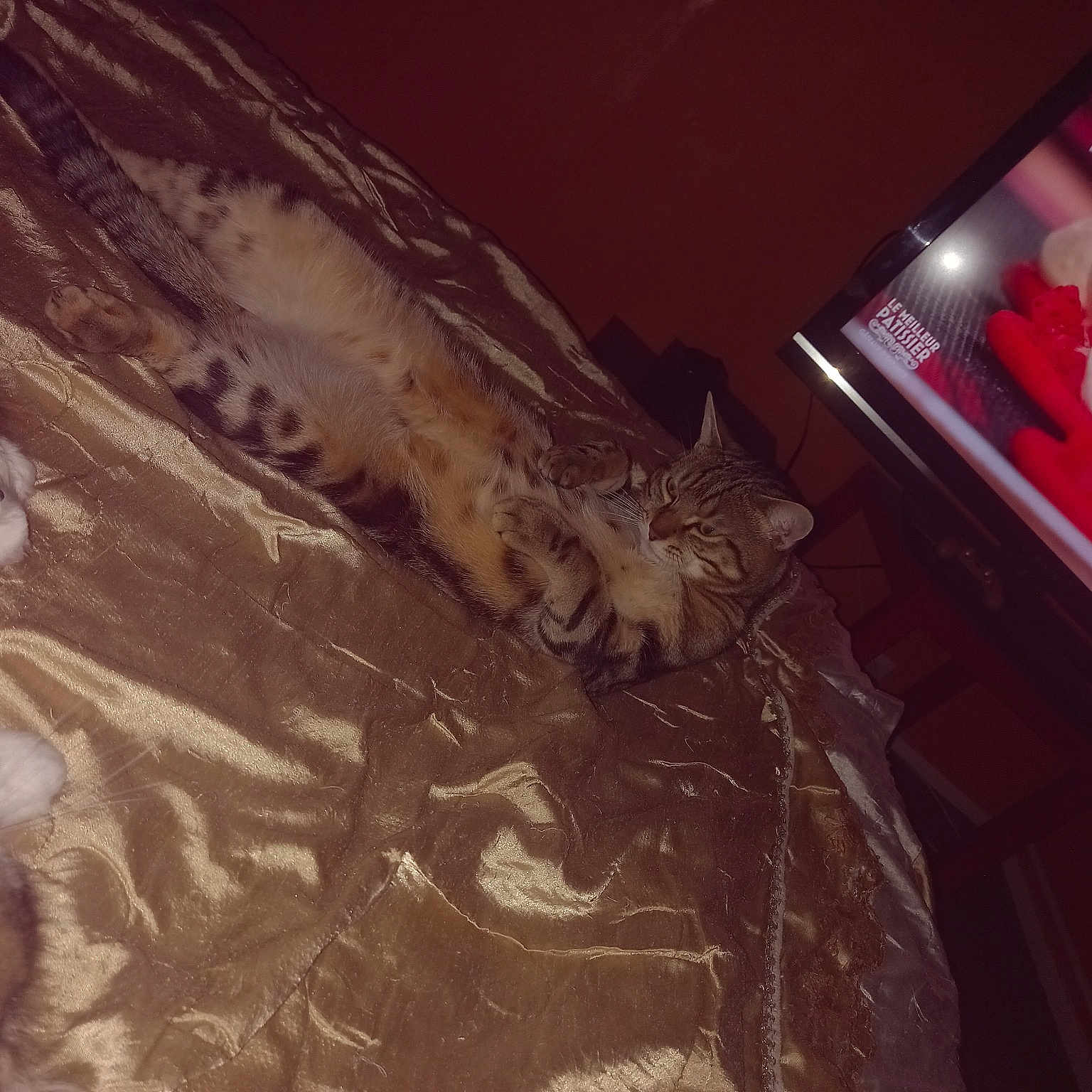 Simba