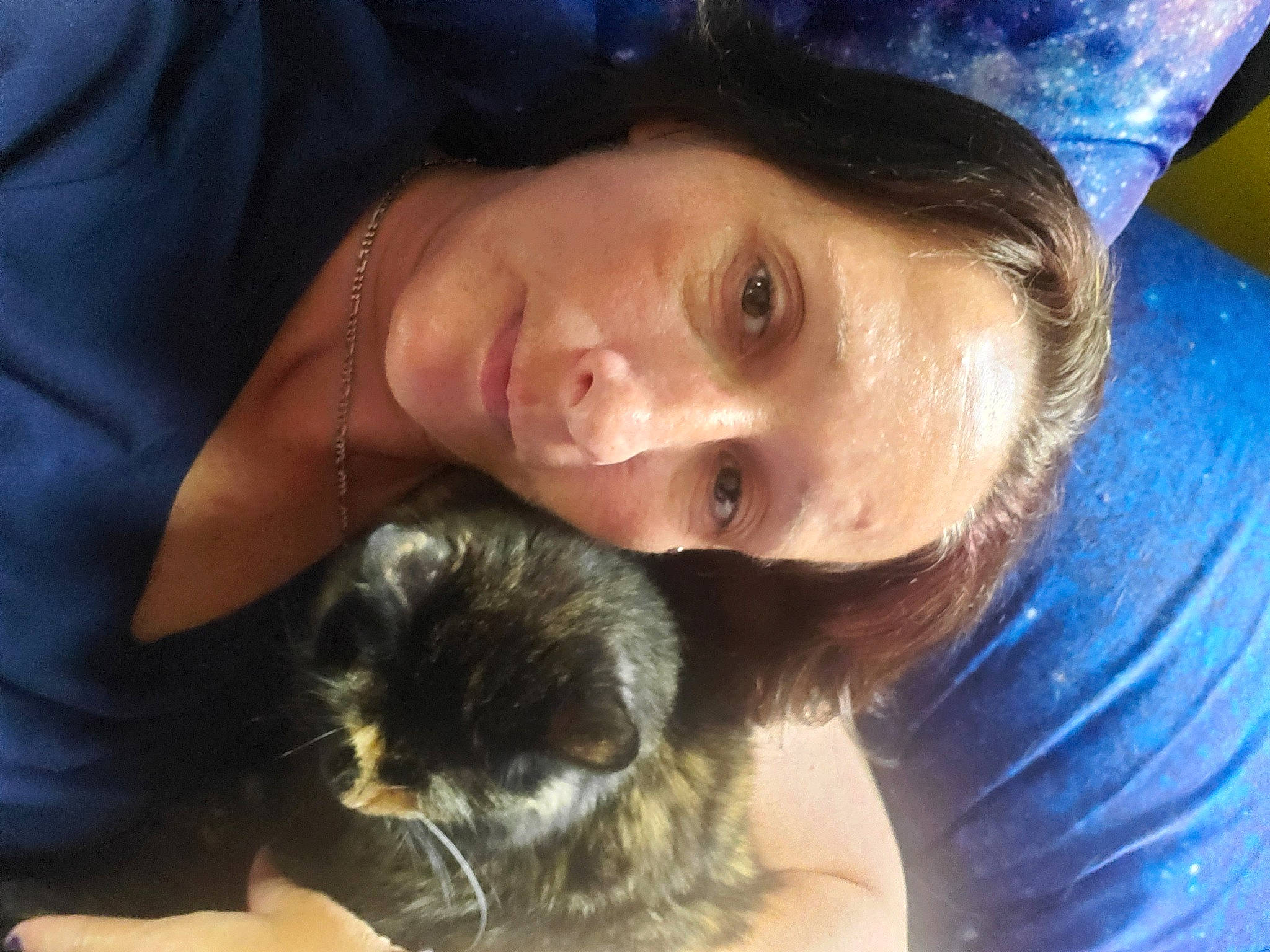 Mishka is registered to the contest to win money with this photo: blue, carnivore, chin, ear, eye, eyebrow, eyelash, fawn, felidae, hairstyle, happy, head, iris, mammal, mouth, neck, nose, organ, skin, vertebrate